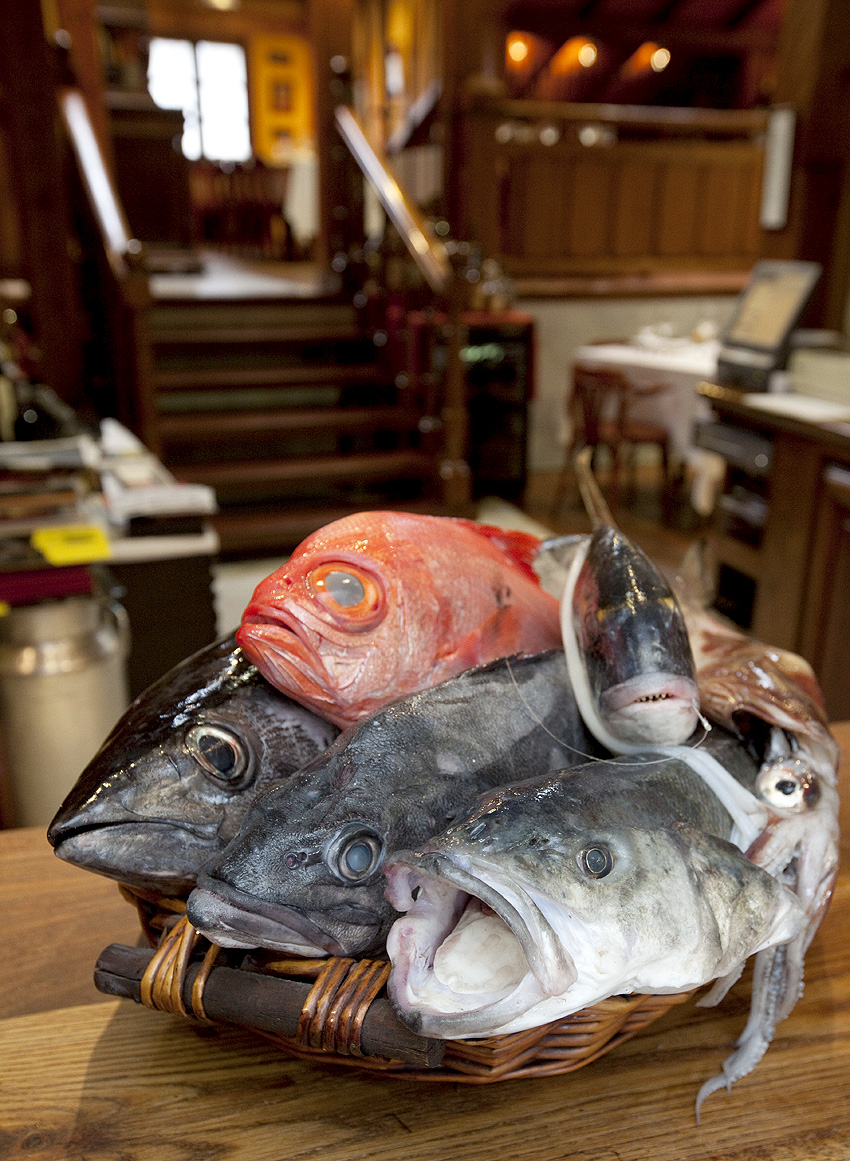 Pescados apilados en una cesta